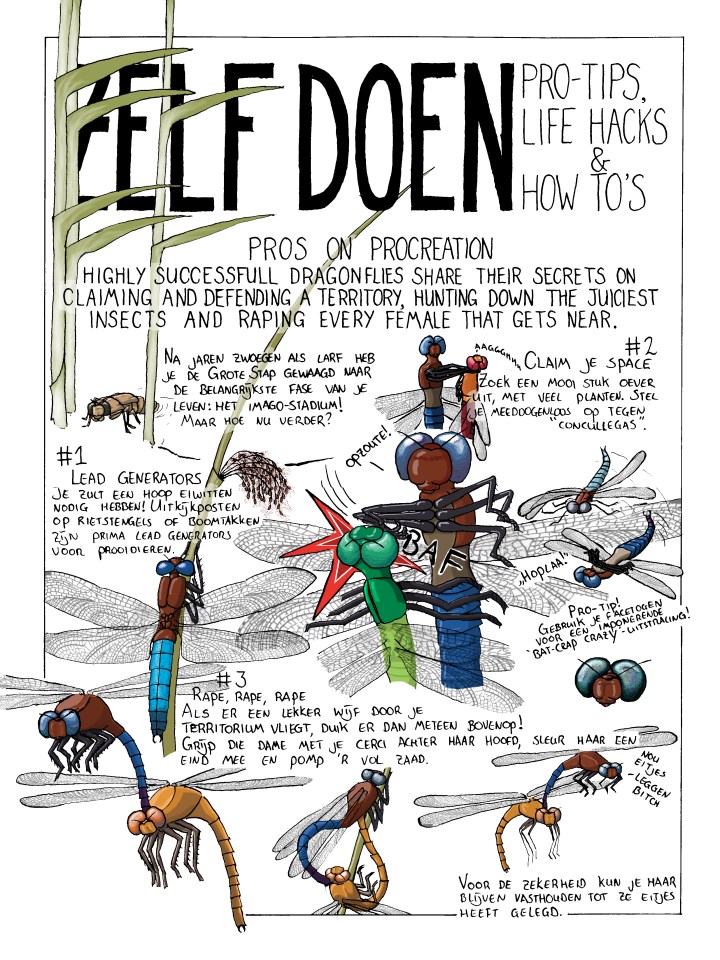Zelf doen Libellen