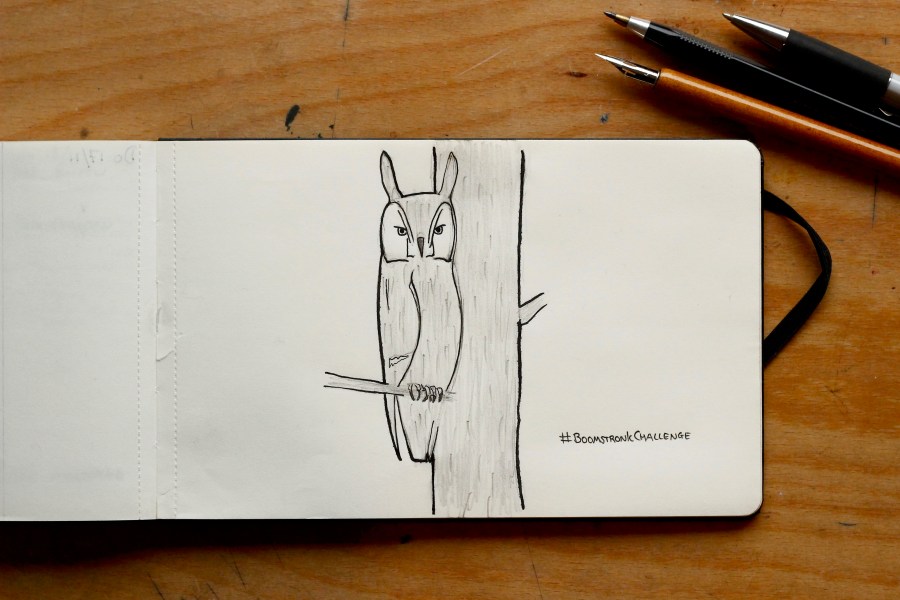 #boomstronkchallenge