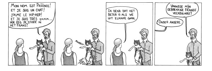 stripje Frans kat rappen